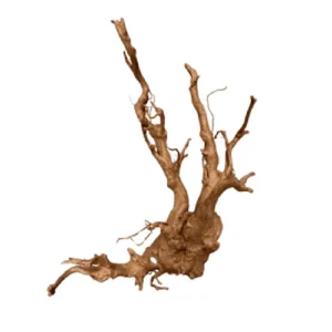 DMYAX Tweety Wood Extra Large