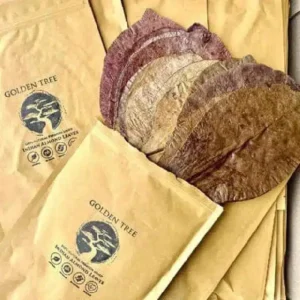 Golden Tree - Premium Indian Almond Leaves