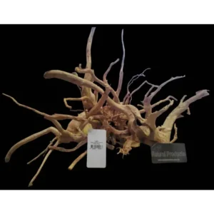 AP Natural Goldvine Wood Small